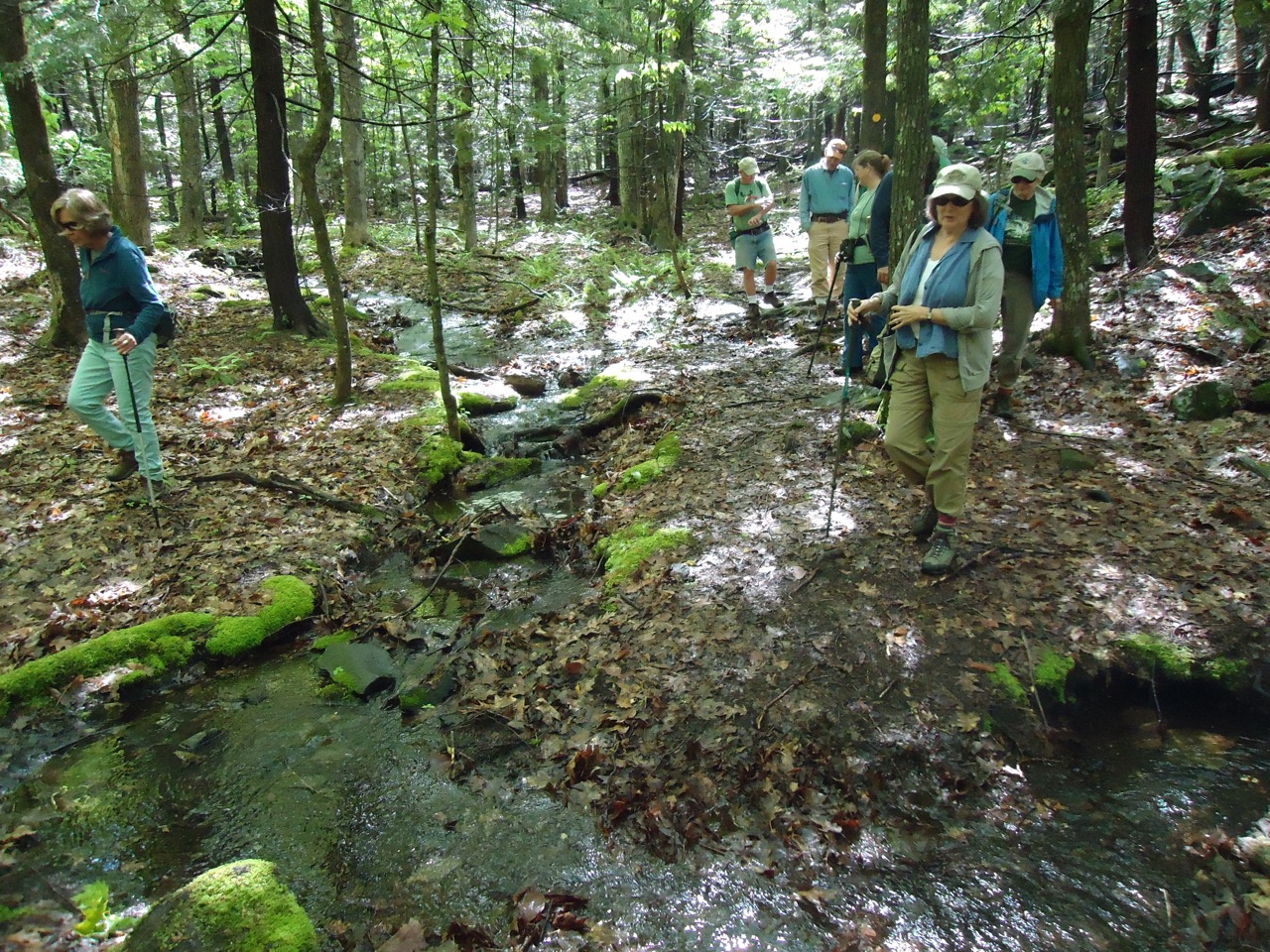 6/1/17 – “High Ledges”, Shelburne MA