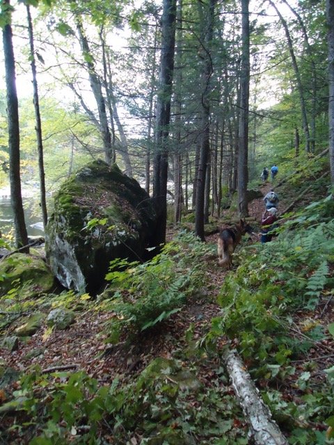 10/5/17 – The Mohawk Trail State Forest’s Elder Trail in Zoar MA