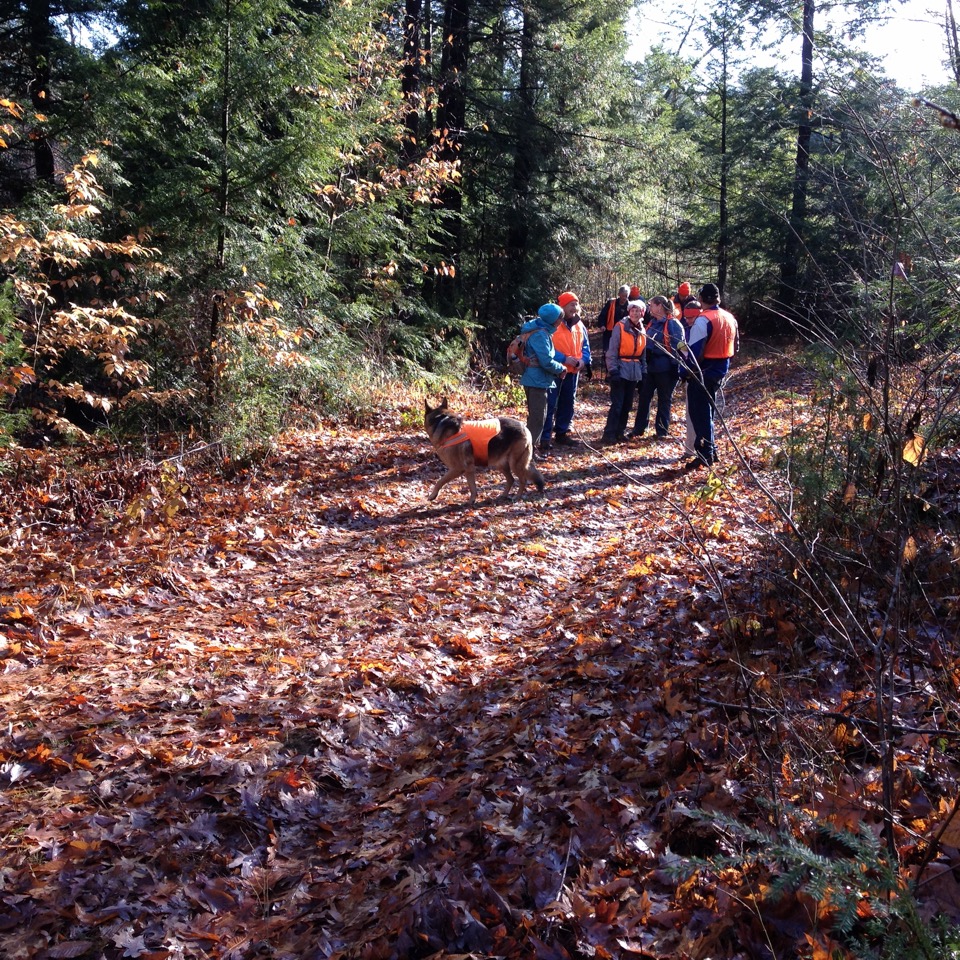 12/1/16 – Lawrence Swamp, South Amherst, MA