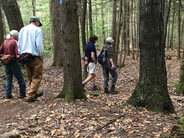 9/26/19 – Greenberg Conservation Area, Westhampton MA