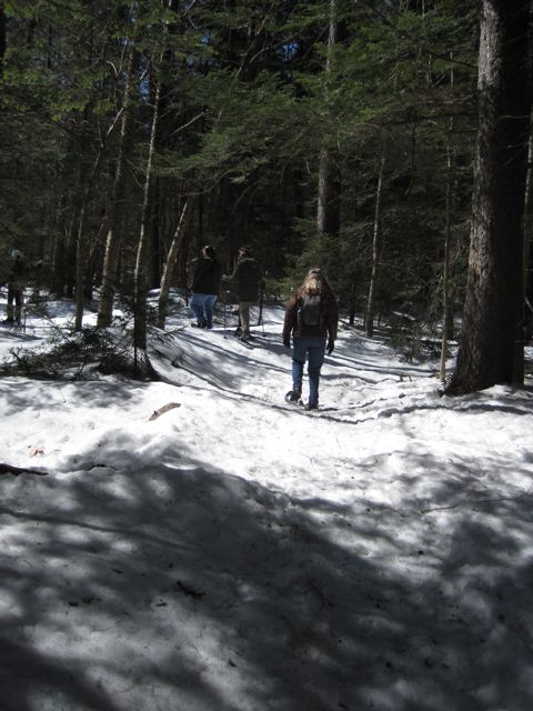 2/27/14 – Rivulet Trail at William Cullen Bryant  Estate