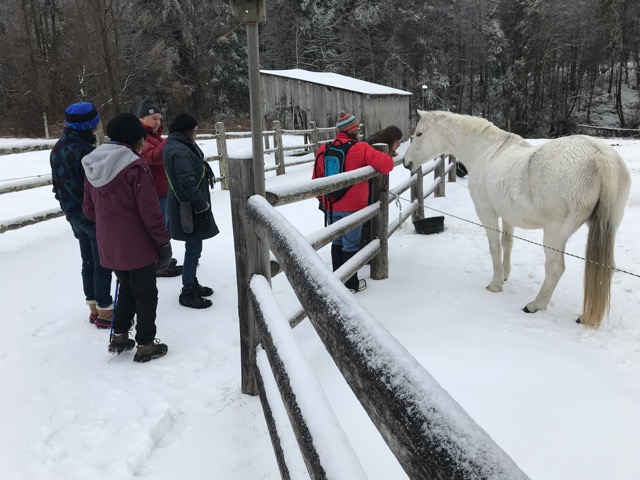 A Two Hike Report: New Year’s Day at Tony’s and today 1/2/19 at Fitzgerald Lake, Northampton MA