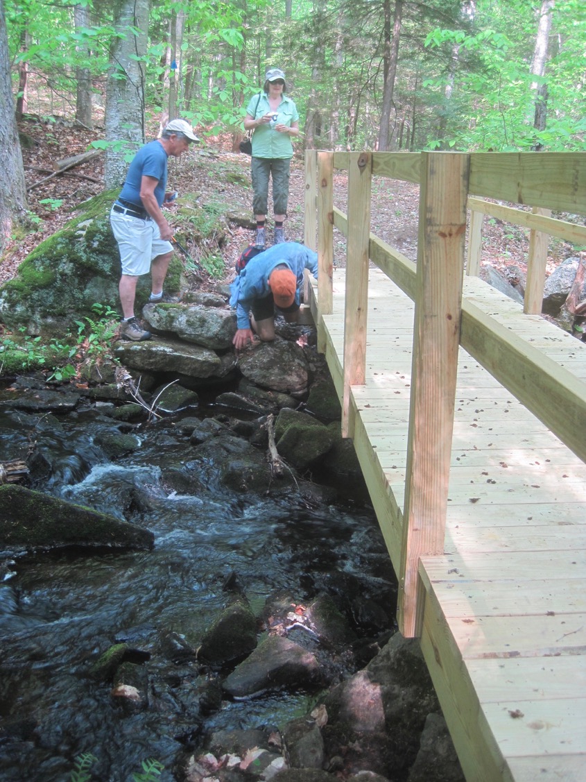 5/26/16 – Dubuque State Forest, Hawley MA