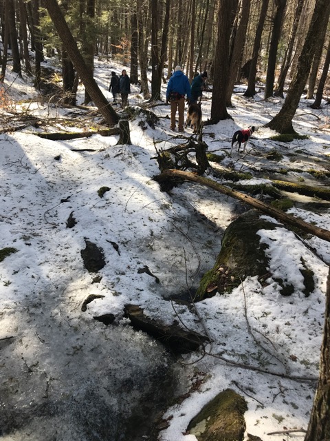 2/27/19 – Two Bridges Trail, Ashfield MA