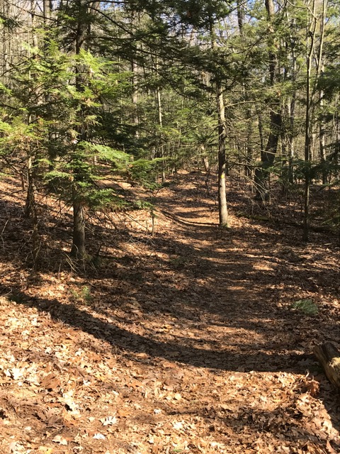 3/5/20 – Mt. Warner, North Hadley MA