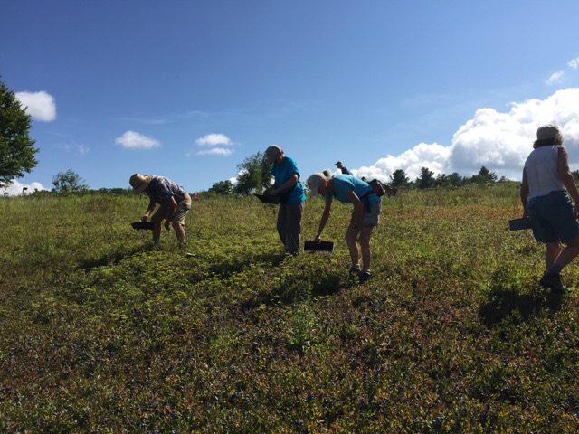 8/2/18 – Bensen Blueberry Place, Heath MA