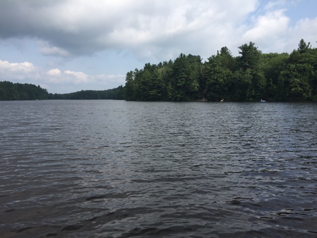 8/16/18 – DAR State Forest, Goshen MA