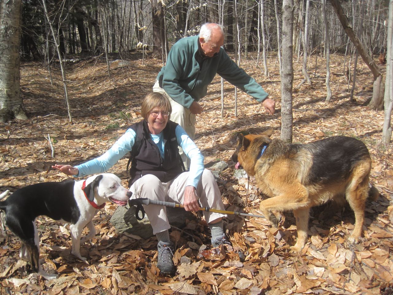 4/16/15 – DAR Forest