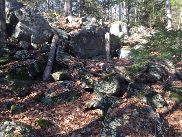 12/27/18 – Horse Mountain, West Hatfield MA