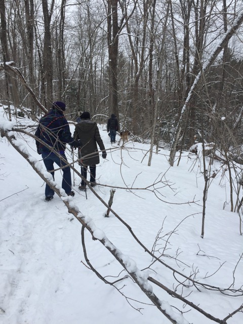 1/10/19 – Dubuque State Forest, Hawley MA