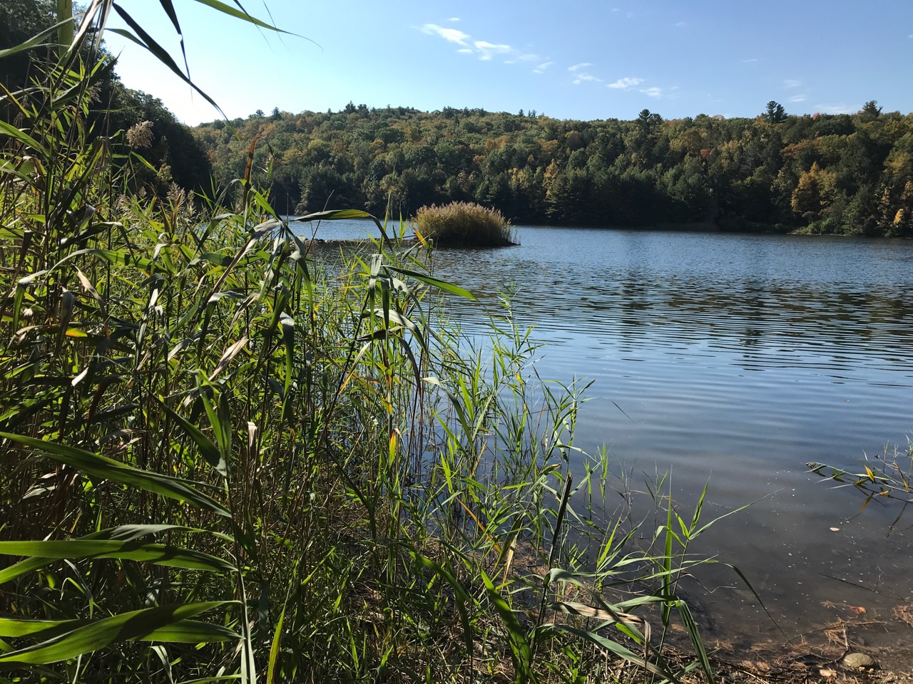 10/2/20 – Deerfield Reservoir property in Conway MA