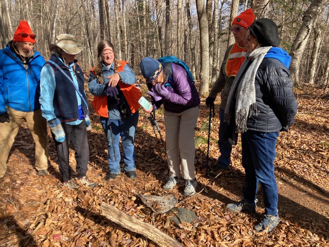 11/14/24 – The Goatherd Trail in Dubuque Forest, Plainfield MA