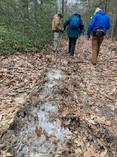 1/9/25 – Whately Woods Trails, Whately MA