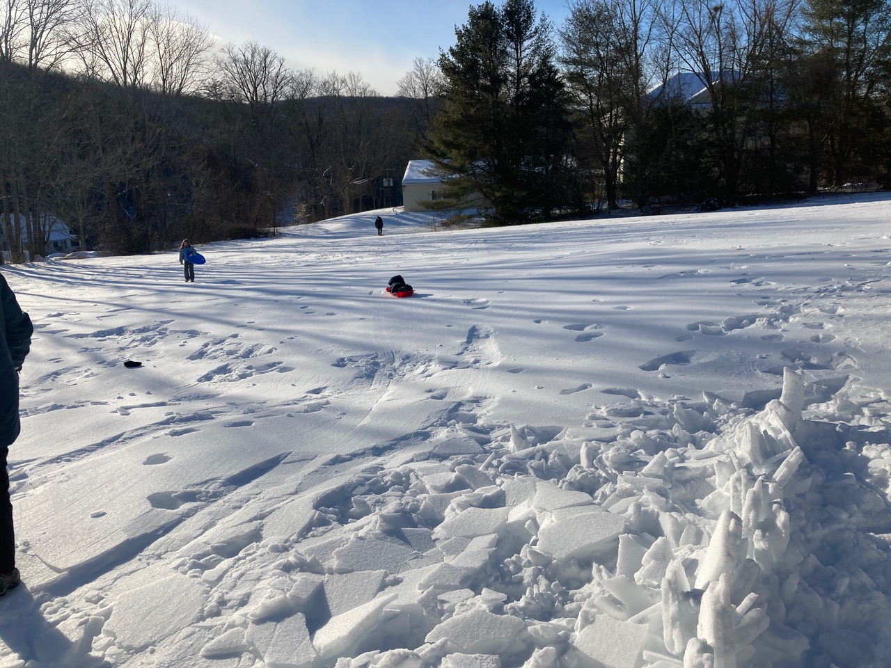 2/20/25 – Look Park, Florence MA