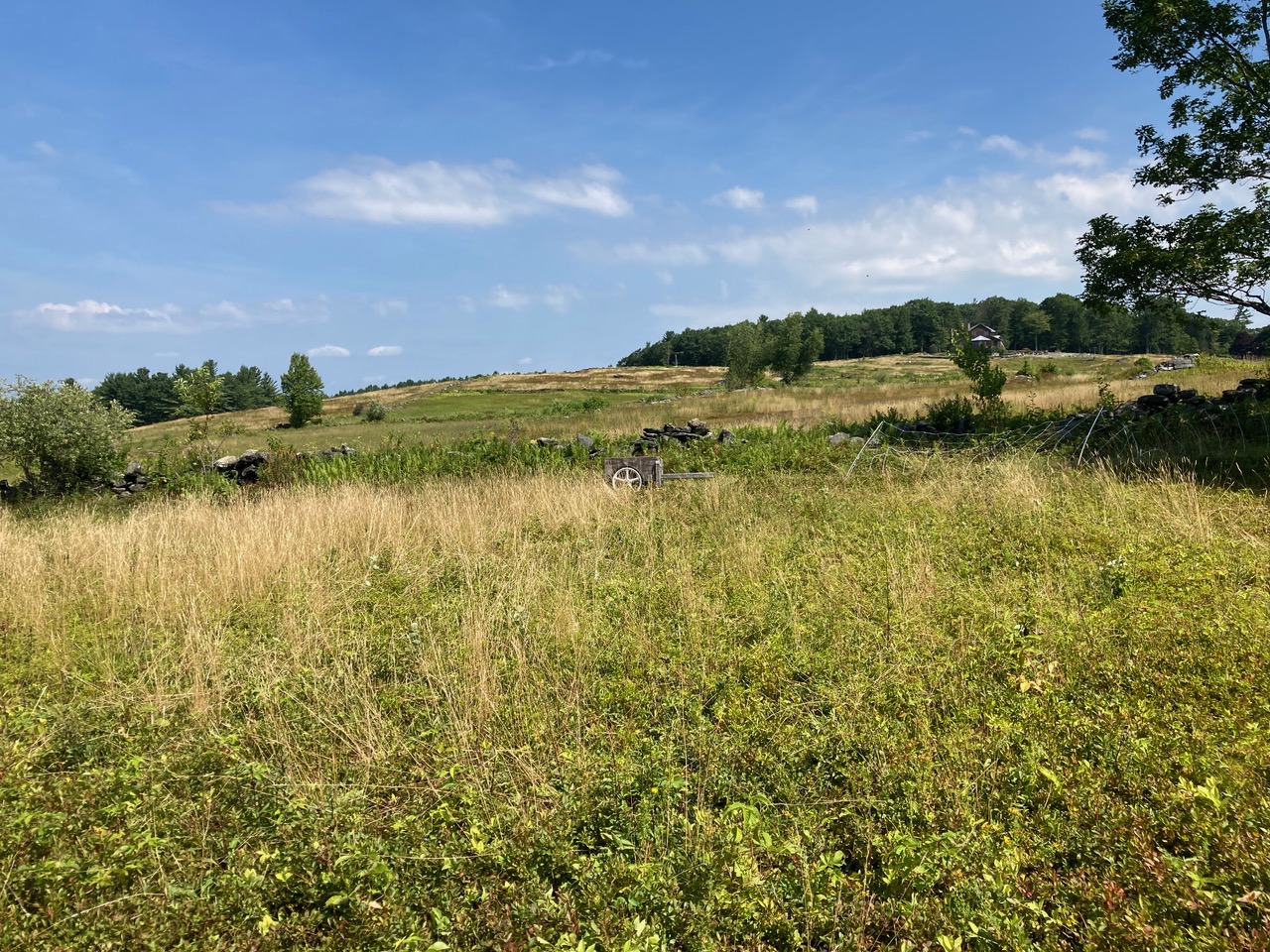 7/24/35 – The Bensen Place, Heath, MA