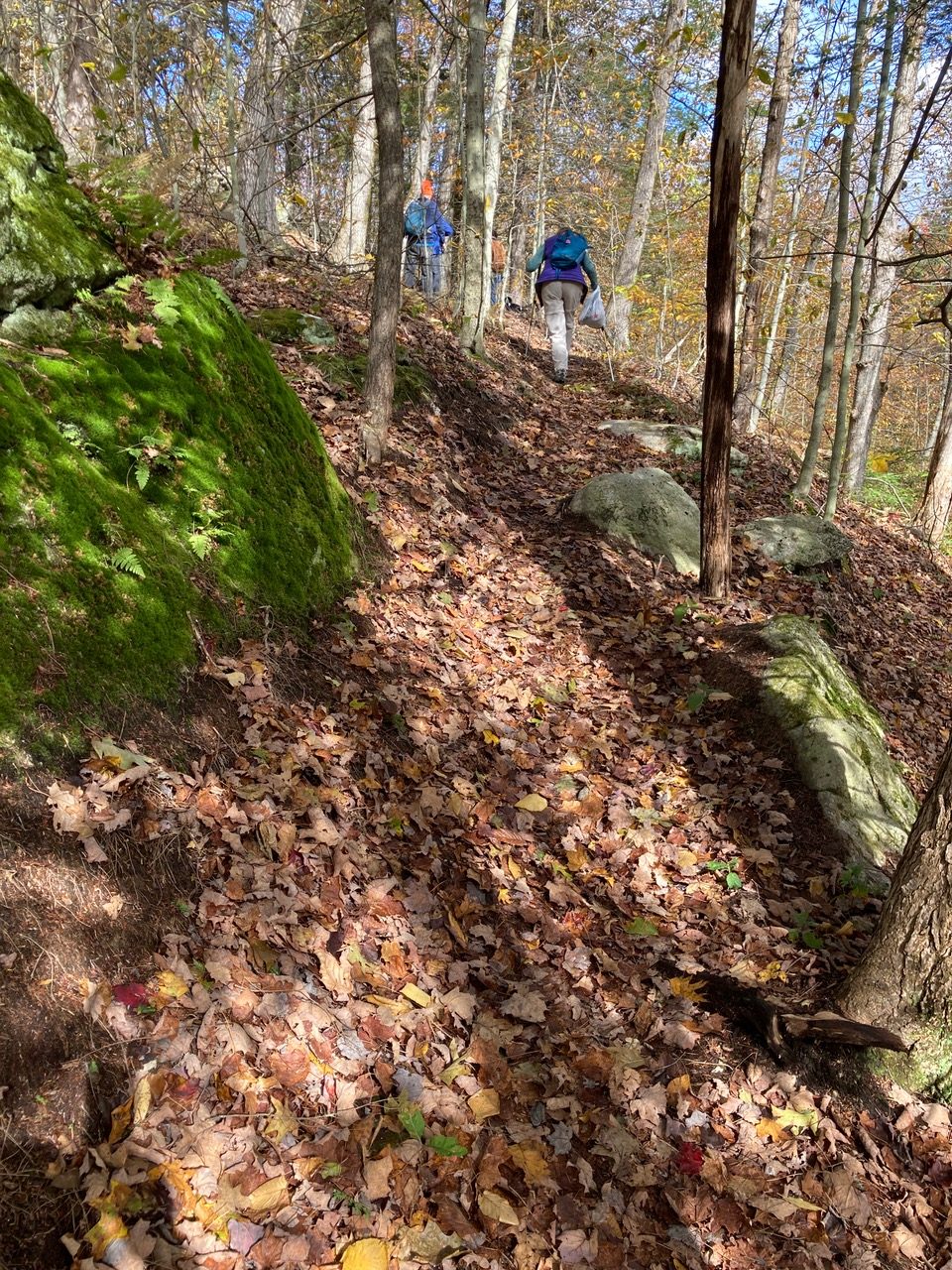 10/23/25 – Clary Trails, Williamsburg MA
