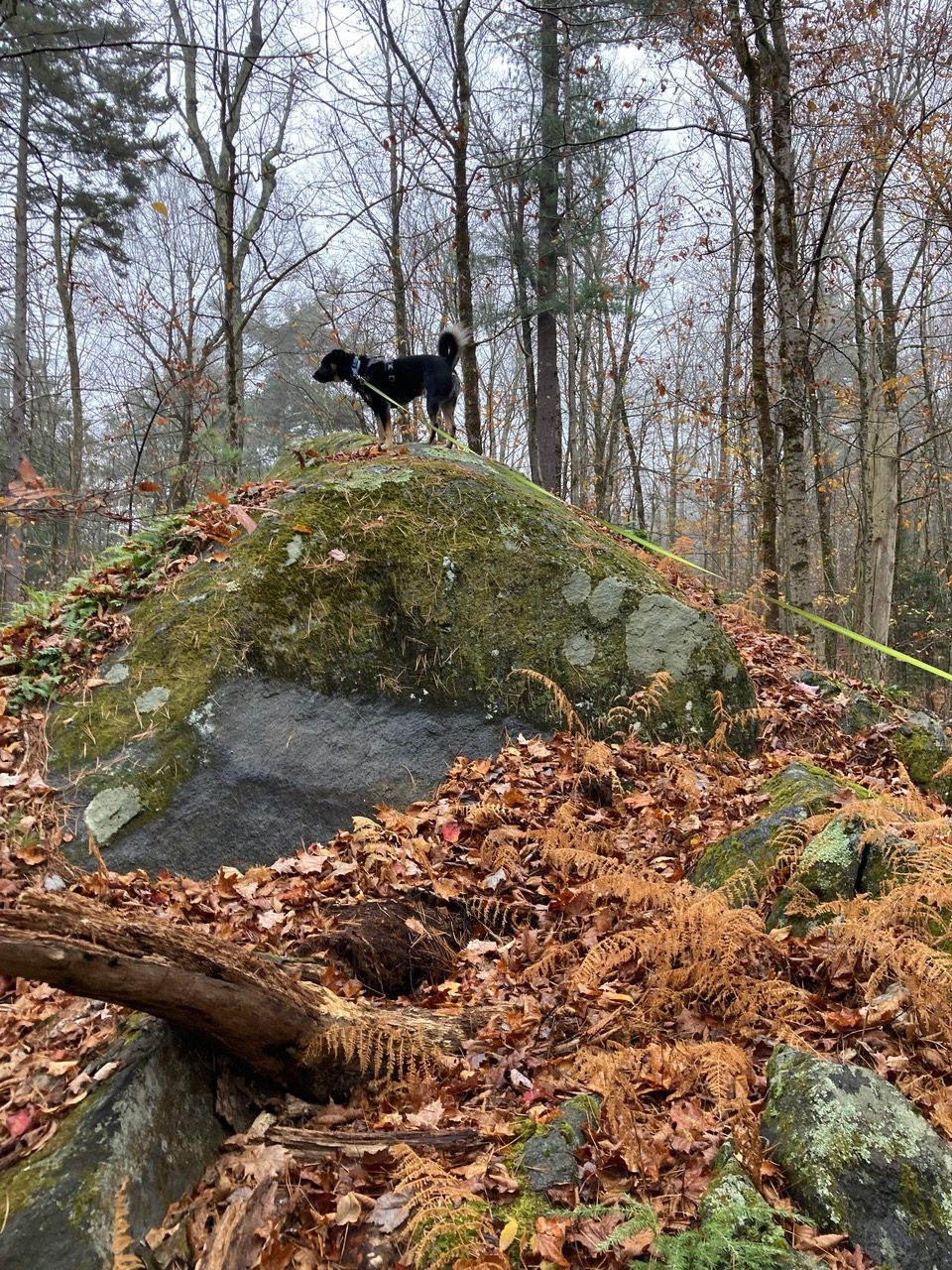 10/30/25 – The Boulder Trails, Goshen MA